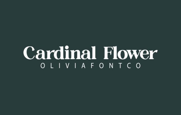 Cardinal Flower: A Handwritten Font for Campaign Design