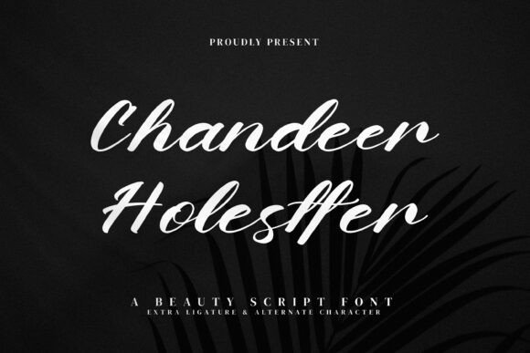 Chandeer Holestter: A Practical Designer’s Review