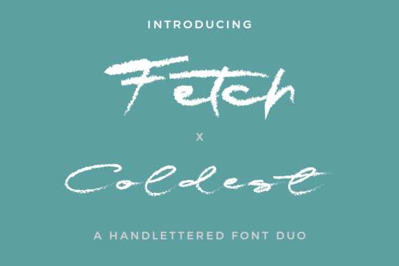 Fetch X Coldest Duo: A Font Duo for Small Business Branding