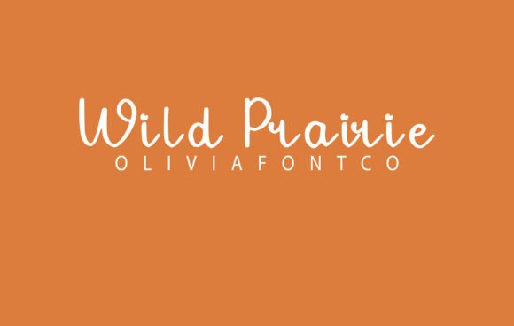 Wild Prairie Font: Testing a Handwritten Typeface in Web Design