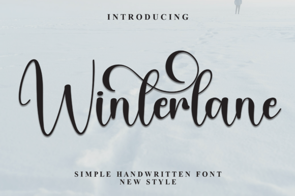 Winterlane: A Warm Script Font for Web Design